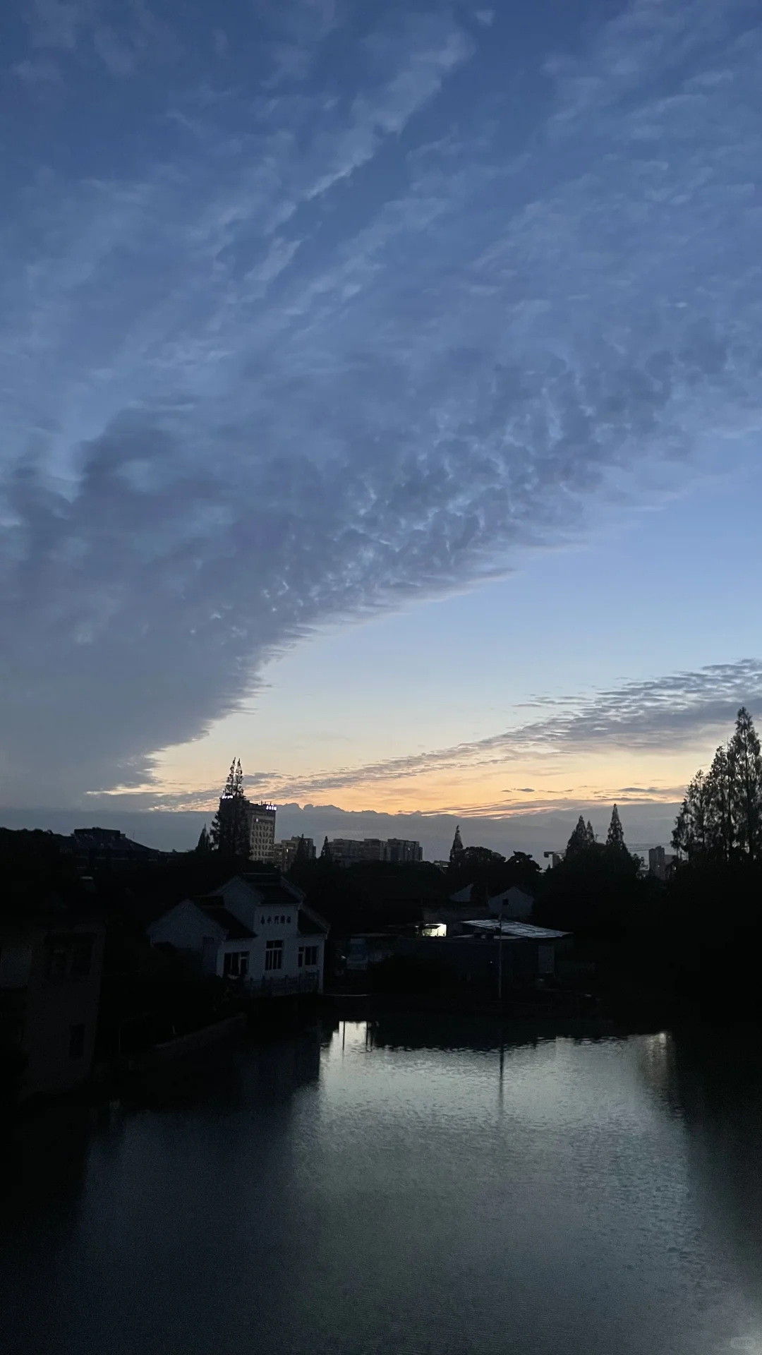 周四早餐做了桑叶玫瑰花酒酿圆子（昨日出去玩荒地上摘到了一些桑树叶子榨汁...