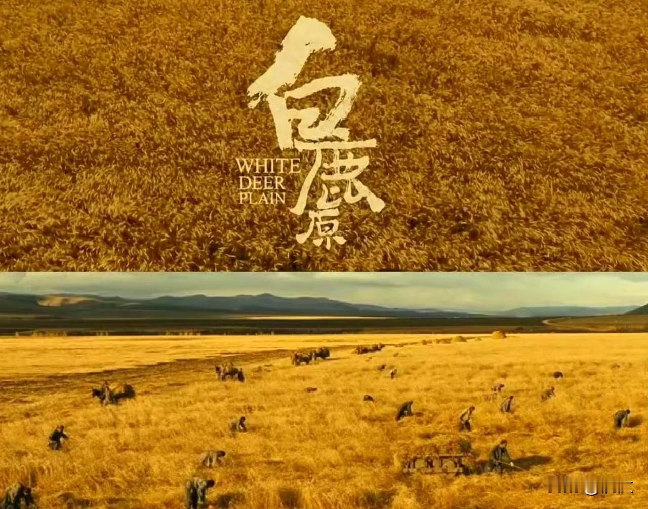 上课的时候老师问：说到西安你们想起来哪个作家？哪部作品能代表西安？

我回答，陈