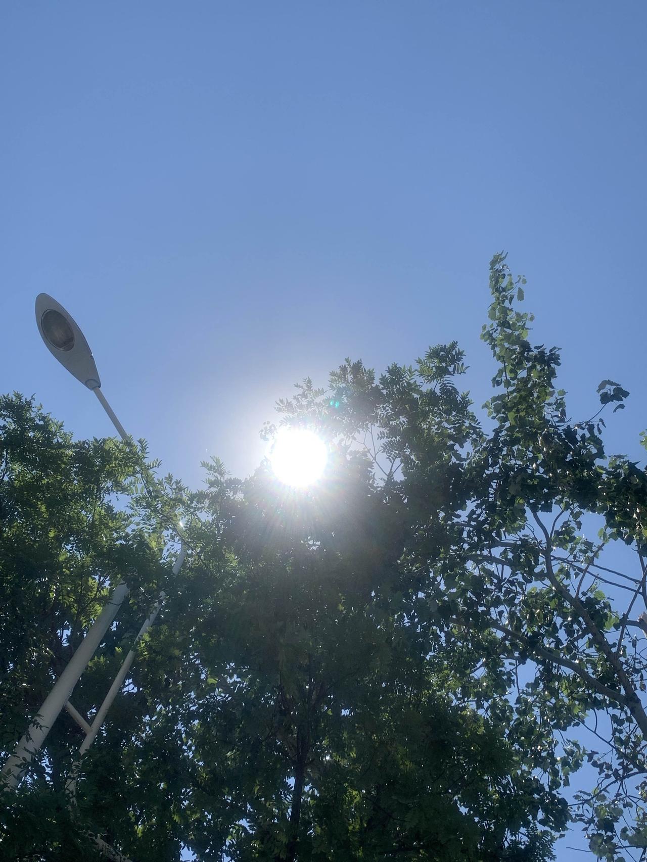 我觉得今年夏天不算特别凉快。受全球变暖影响，极端高温应该出现得更频繁，很多地区还