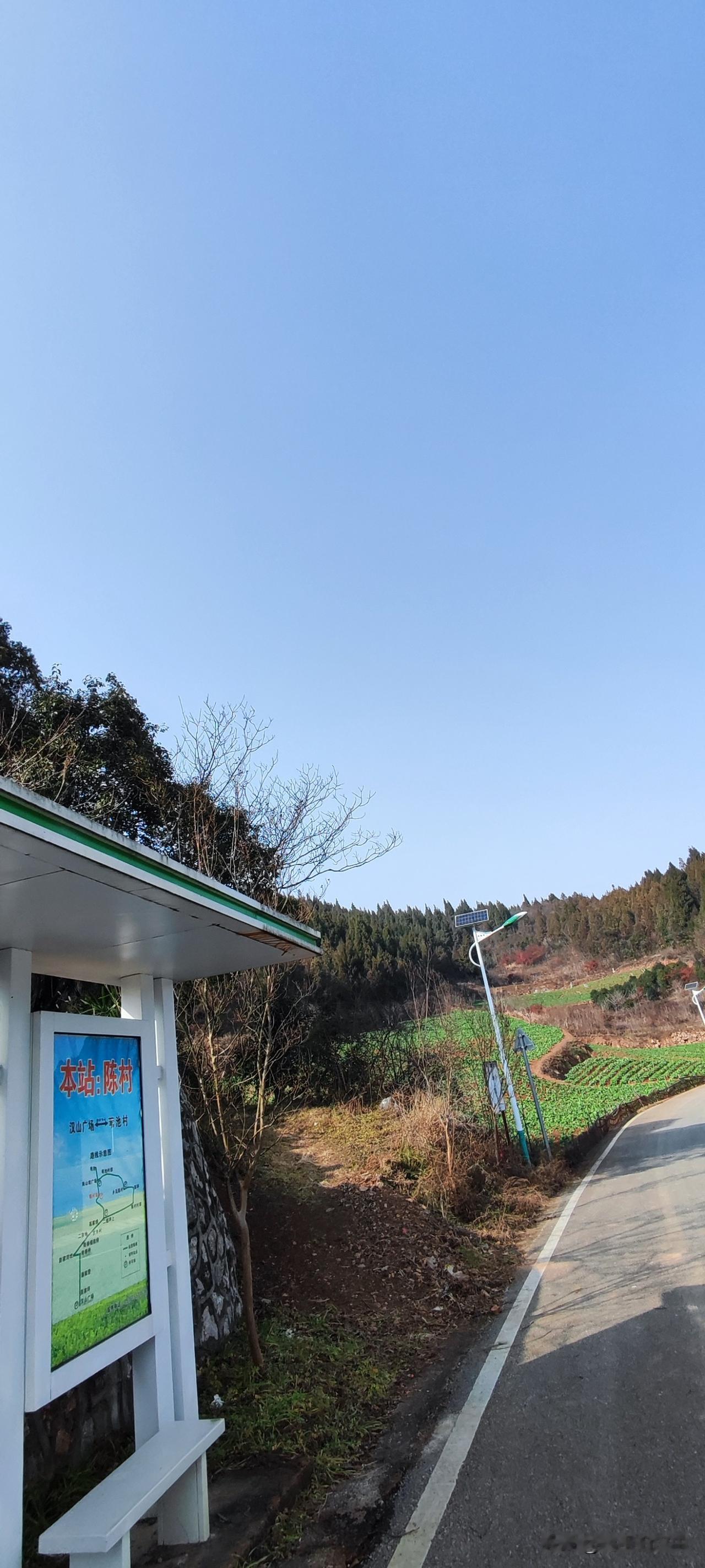 今年冬天的不同冬日晴天，来陈村晒太阳，看到油菜的长势喜人，心里已经开花啦[心]分