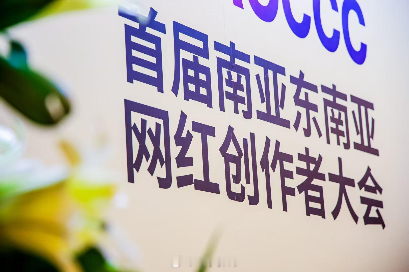 首届南亚东南亚网红创作者大会外眼看云南首届南亚东南亚网红创作者大会盛大举行，跨国