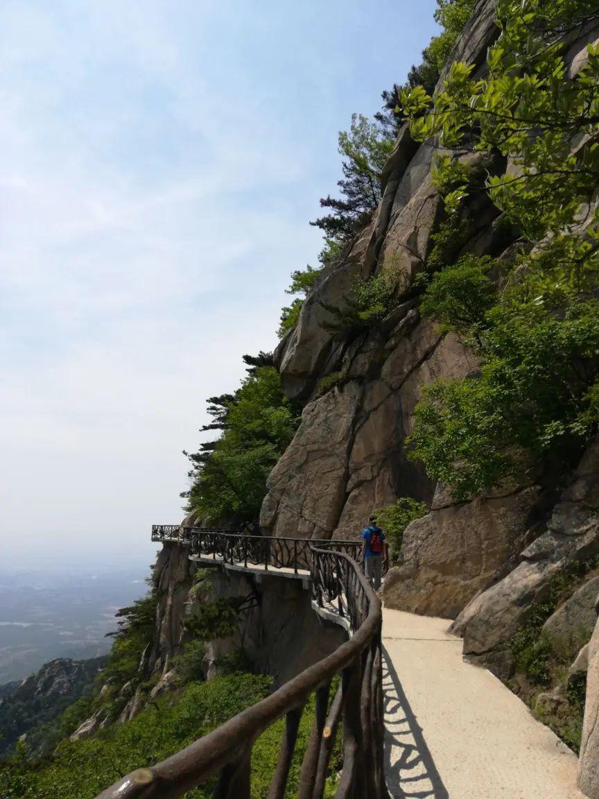 这里是沂蒙最高的山峰，这里是有名的天然今今气氧吧森林