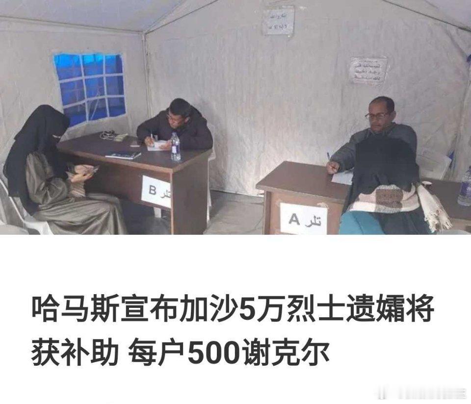 海外新鲜事 哈马斯发放的补助金，每户500谢克尔，约合160美元 