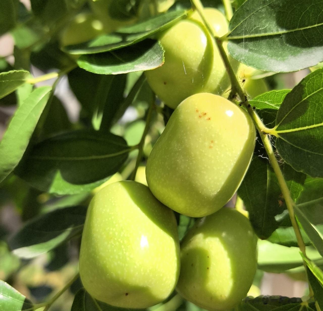 上联：前前后后前后矛盾
下联：虚虚实实虚实混淆
 [微风][微风]赏析
上联用叠
