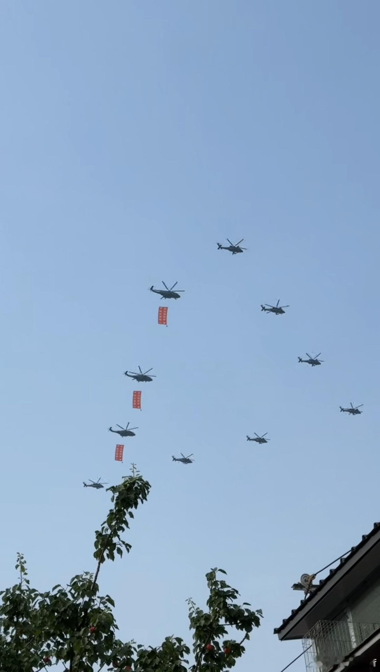 真好看呀。 ​​​