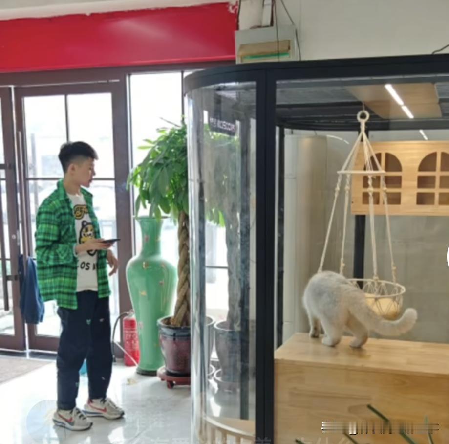 关注南阳罗大美一案，三个人的罪行已经尘埃落定。但是至今为止还有罗大美手机和余金生