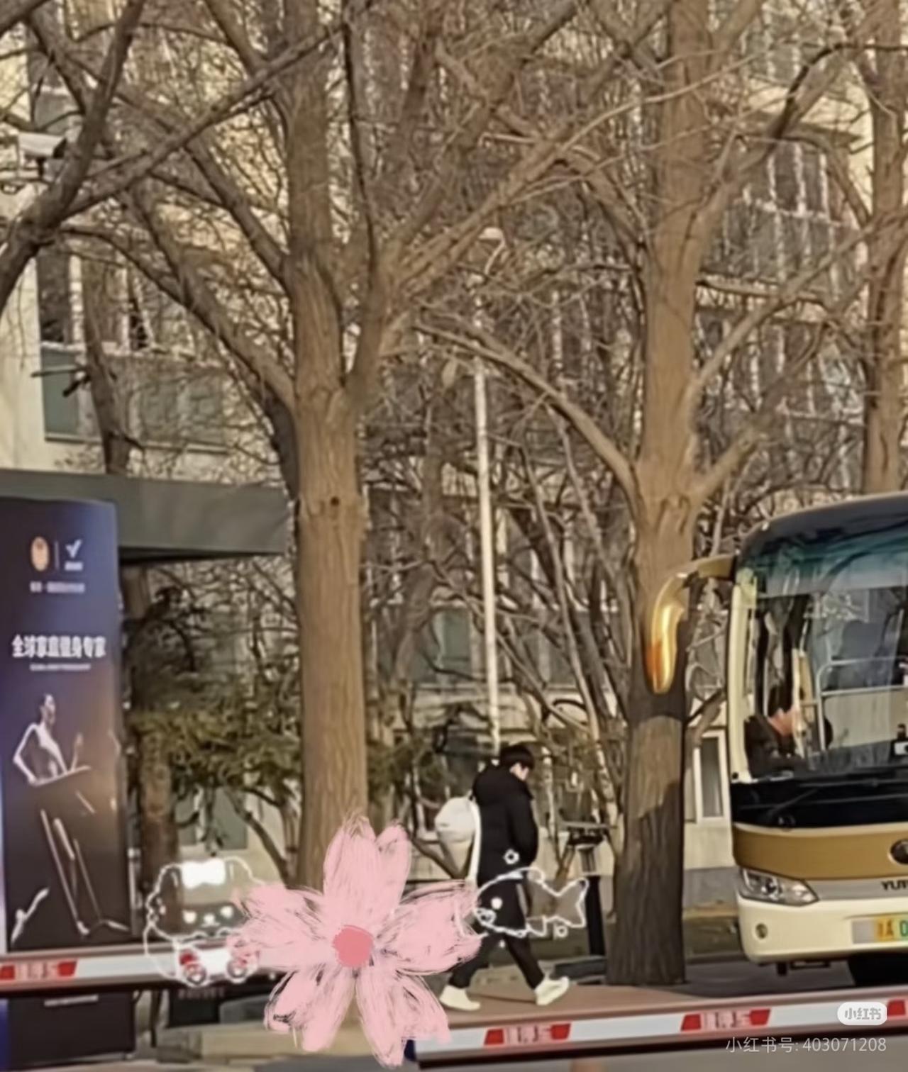 全网搜索到了两张孙颖莎，
好久不见，甚是想念。
看第二张图感觉莎莎瘦了不少，
虽