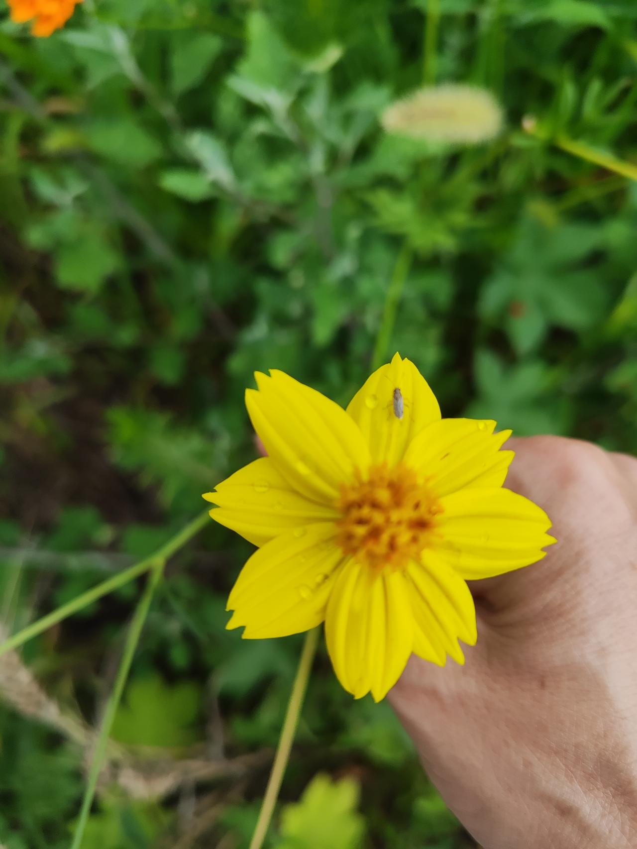 疑问？头条，我真的好久不来了。昨天写了一篇，既没流量也没阅读量。我想知道头条的人