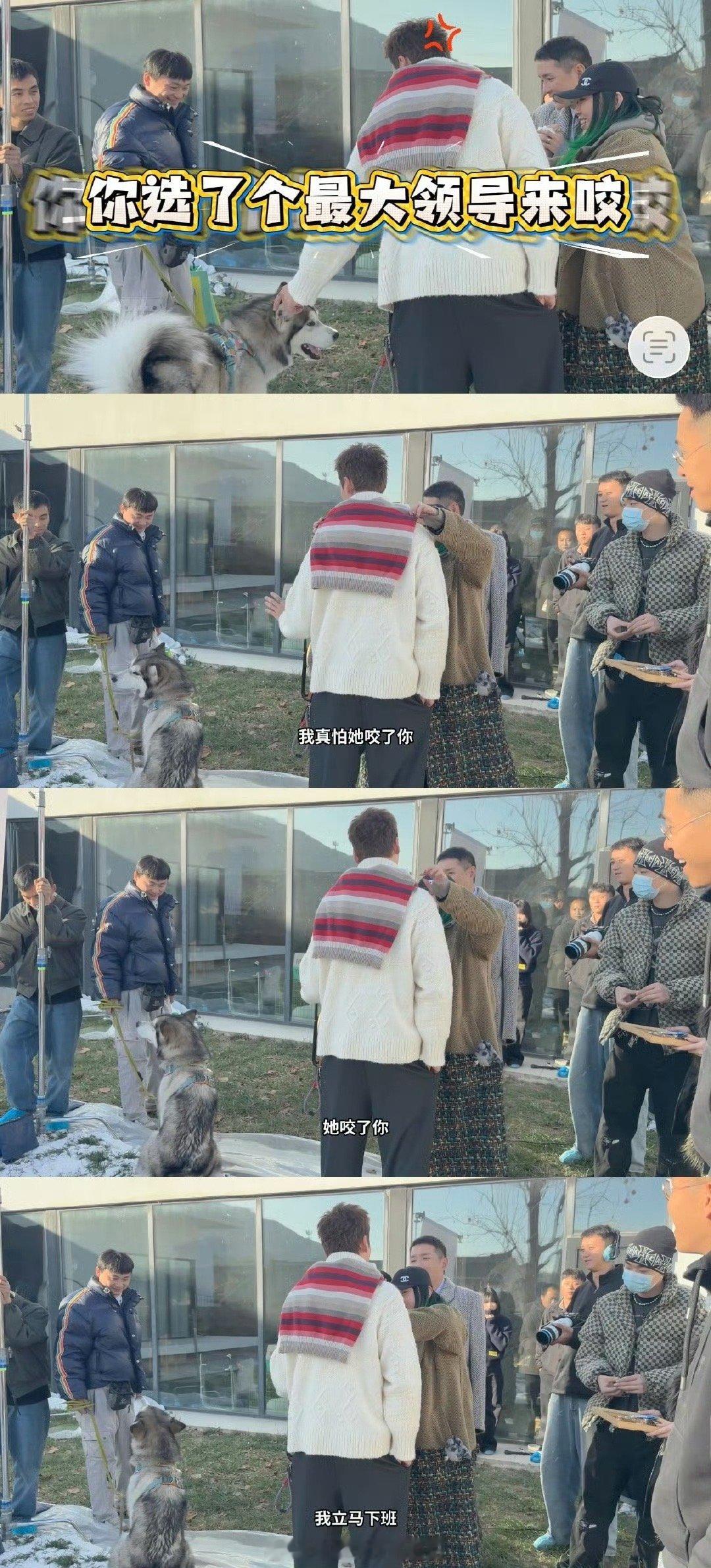 陈伟霆 它咬了你我立马下班 被陈伟霆的花絮狠狠戳中笑点！看到Metal靠近主编的