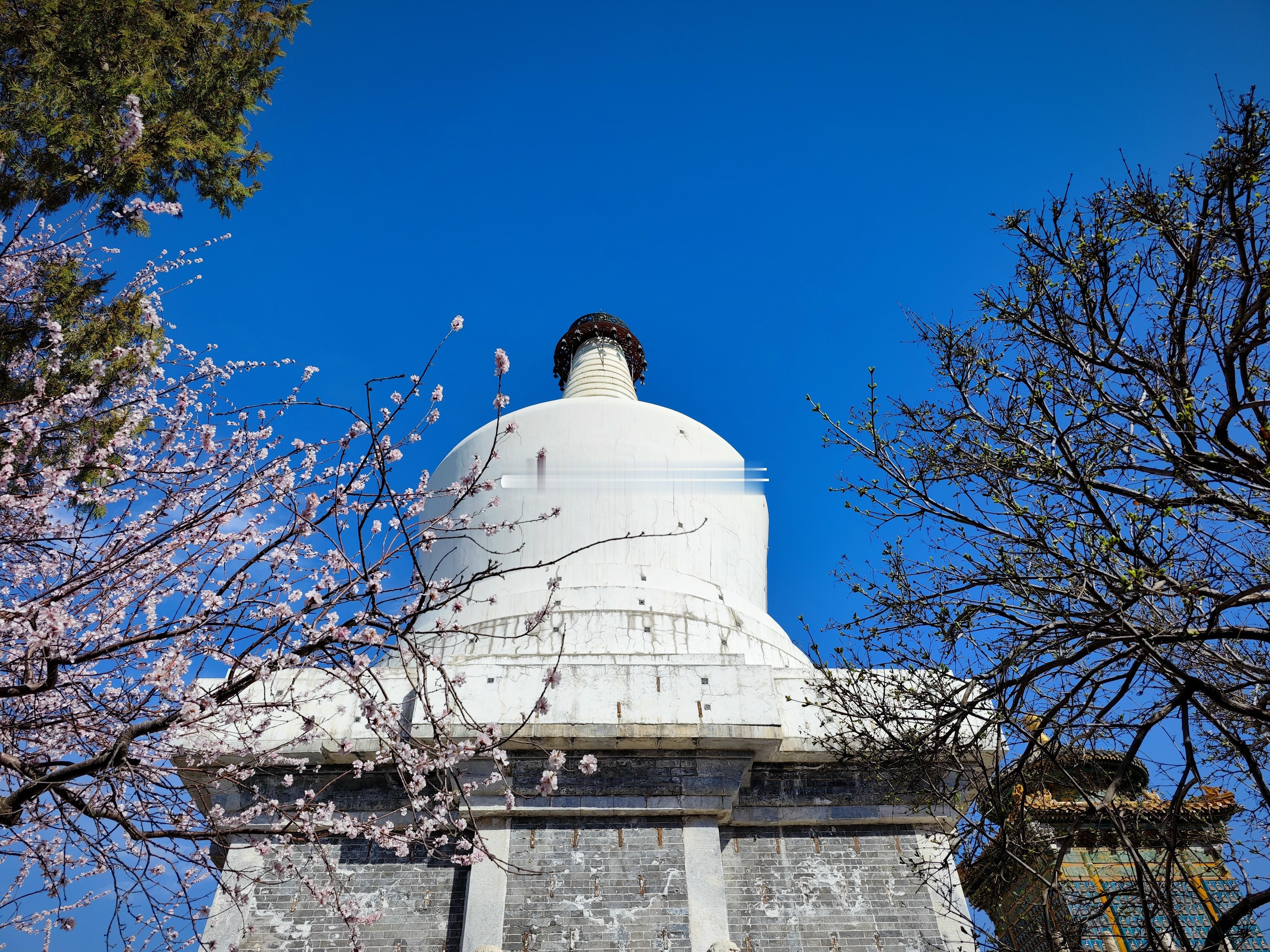 3月19日北京北海公园随拍  摄影​​​