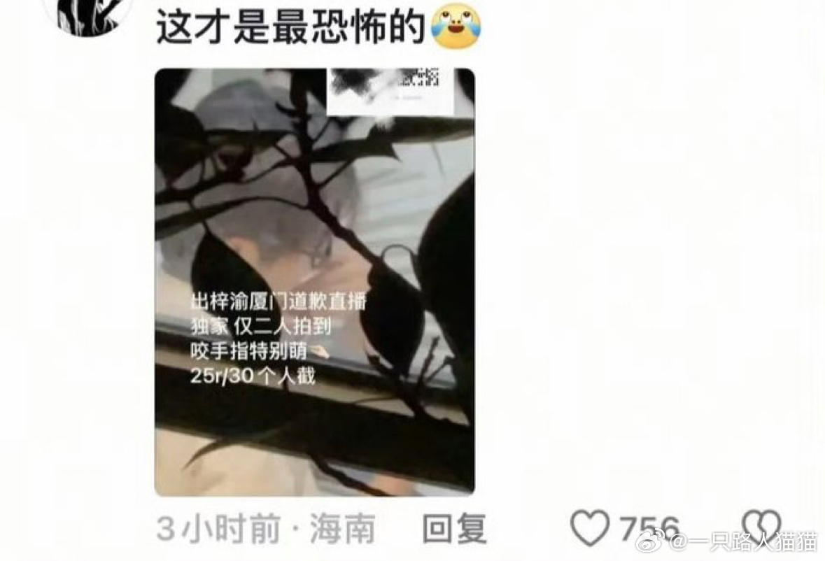 梓渝直播的时候甚至有人在窗户那里拍，你们这些私生能不能放过这个梓渝啊😡😡😡