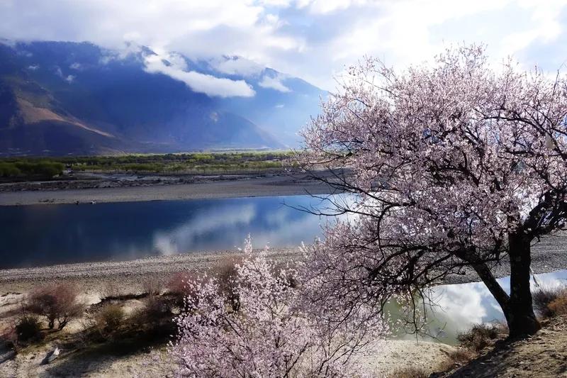 人生如同一条蜿蜒的河流，时而平静温柔，时而波涛汹涌，唯有顺流而下，方能领略其全部