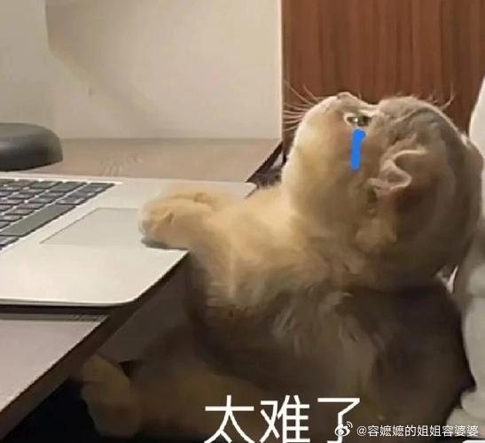 性侵认定标准正在转变听说过一个案例，男的录了200多段视频，涉及200多个女孩，