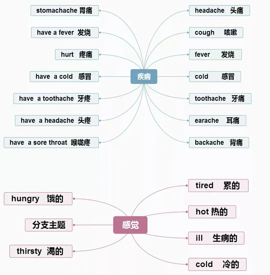 哇塞！原来背单词可以这么的高效啊，原来用思维导图来背单词是这么的有趣，家有学生的