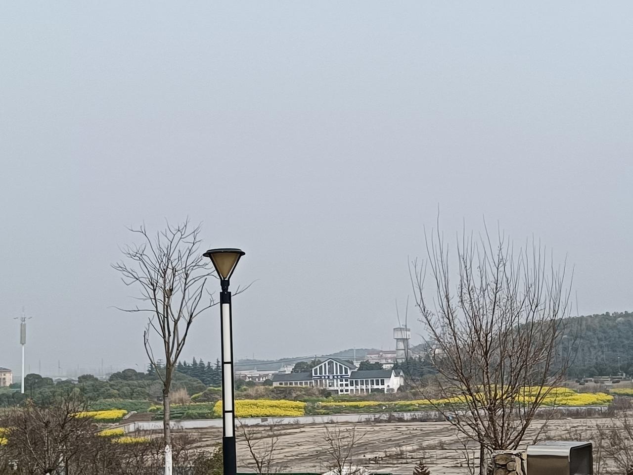 分享一张你拍的油菜花遍地金黄，生机盎然！