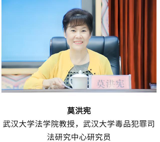 武汉大学法学院莫教授的论文真的让人大跌眼镜，她的论文完全没有不仅在法理上站不住脚
