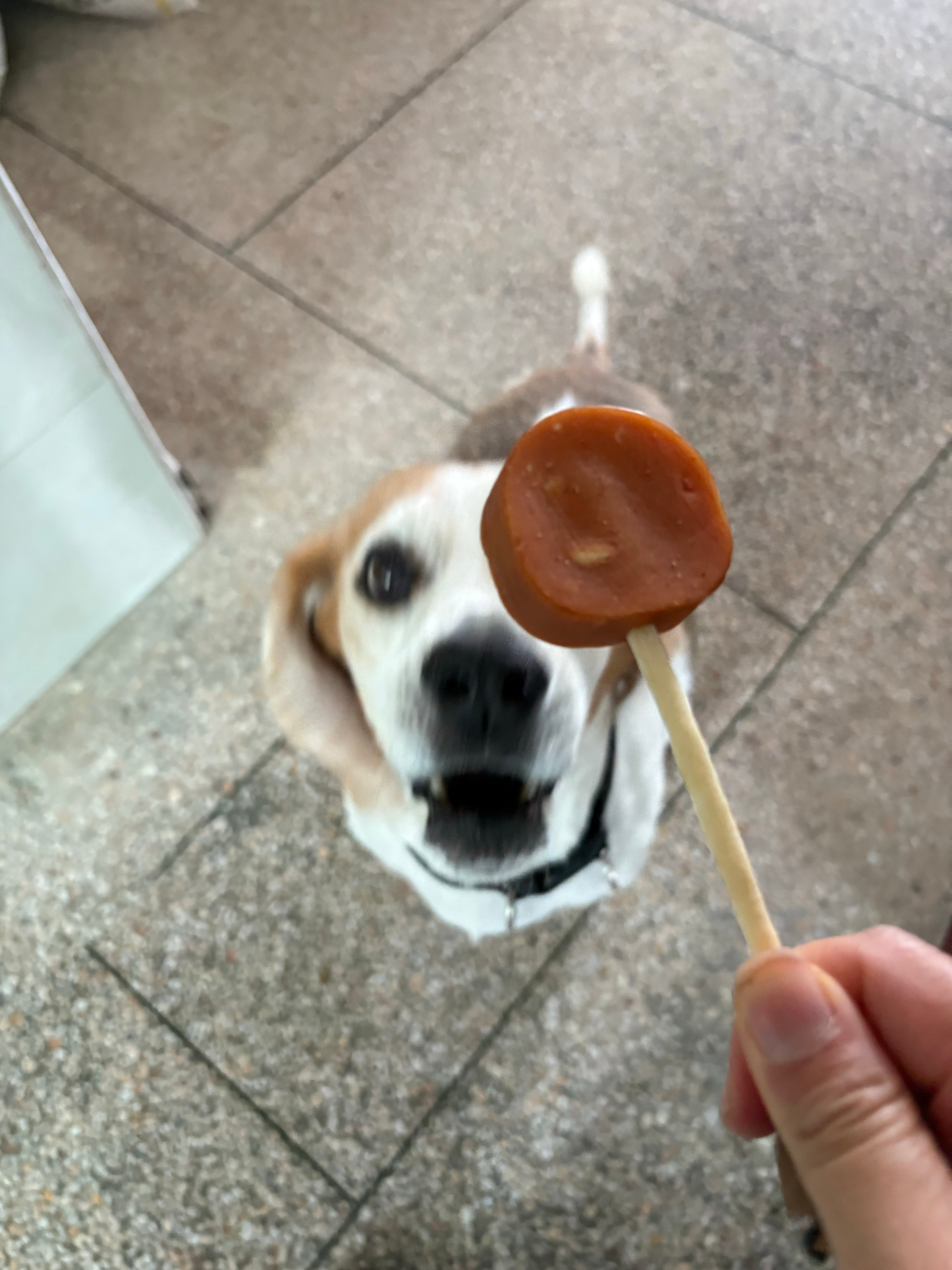 我吃吃吃 ​​​