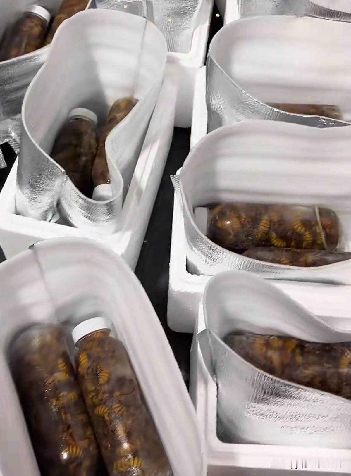 一个人在家做电商，今天一单赚10块，发货接近3000单，七大姑八大姨打包辛苦了，