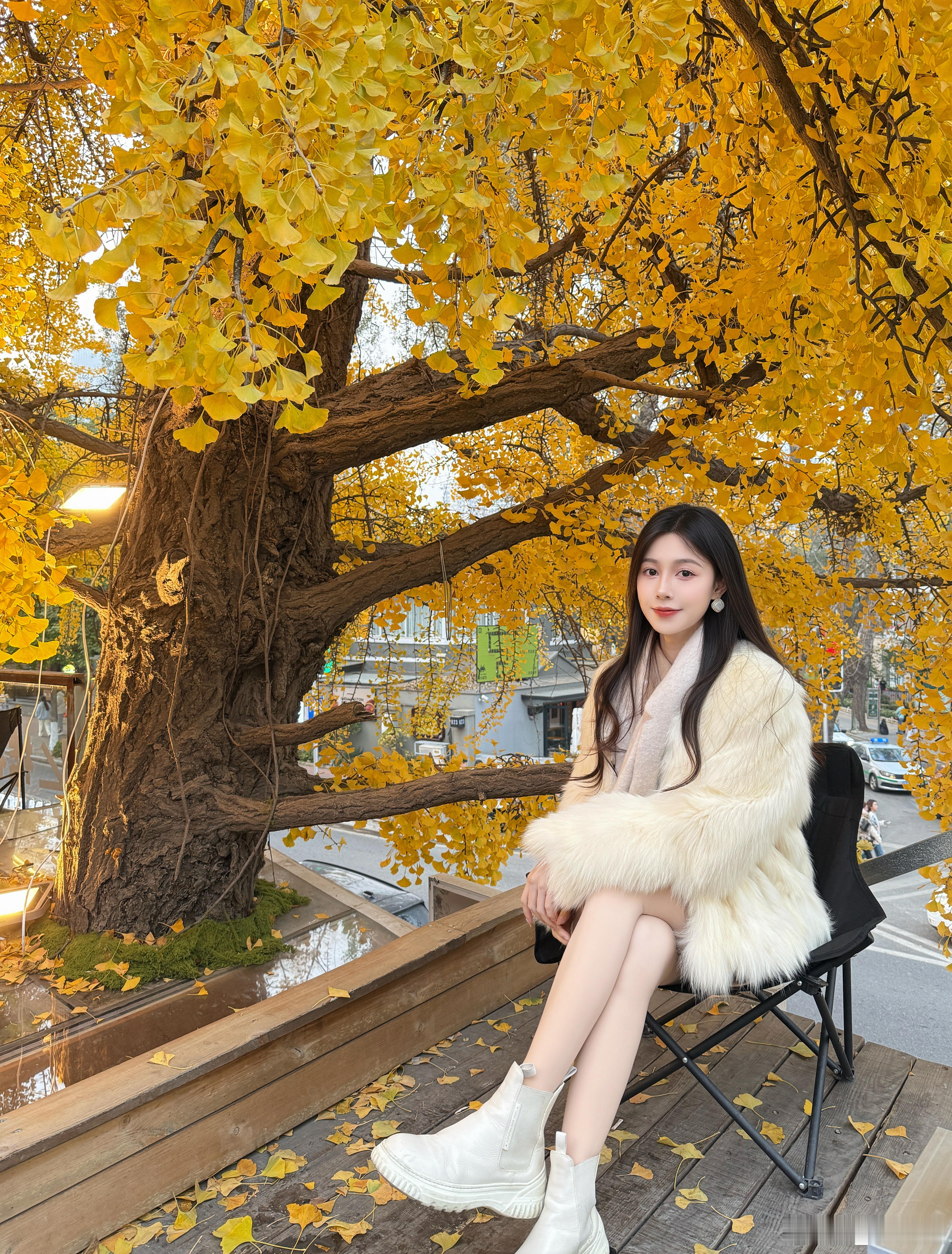 在这落叶像雪的季节🍂银杏大连南山街  ​​​