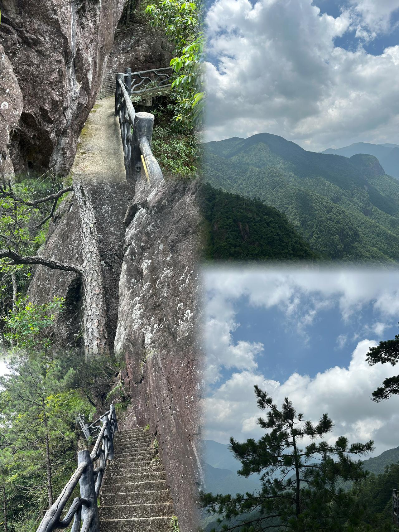 浙江龙泉山风景，随手拍绝壁奇松！