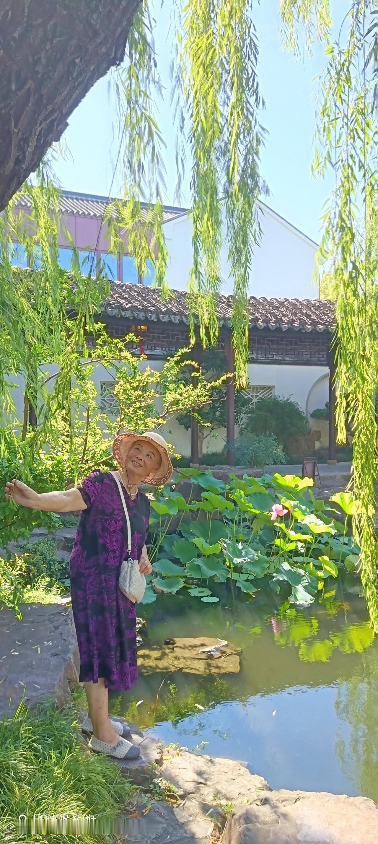 苏州沧浪亭与可园，荷花还开着呢。高温三十七度