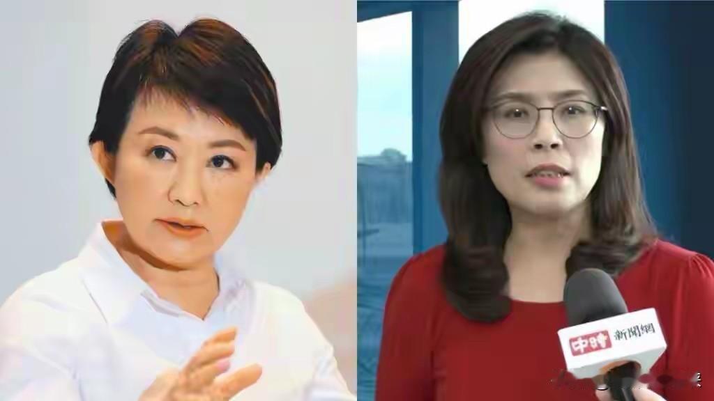 卢秀燕如此不堪一击，和郑丽文不是一个档次，幸好她没选国民党主席。

卢秀燕这次为