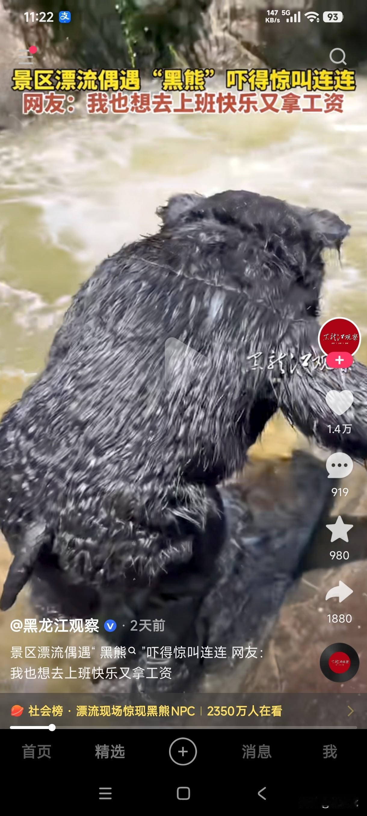 游客景区玩漂流偶遇突然窜出的黑熊吓的惊叫不断，这刺激加心跳的感觉是不是也太嗨了，