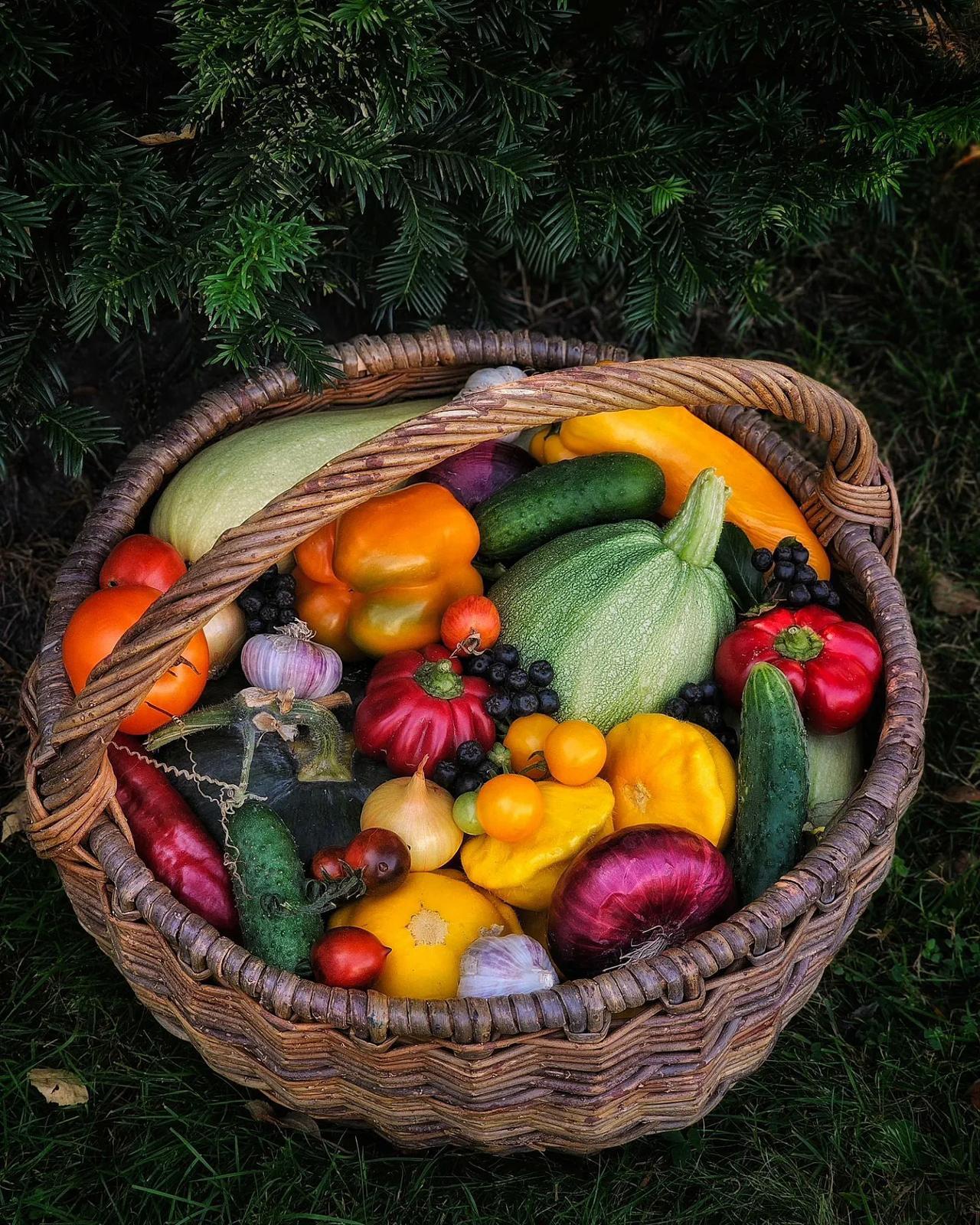 世间美妙始于春 盛于夏 成于秋🐿🍂🌲🍃
.