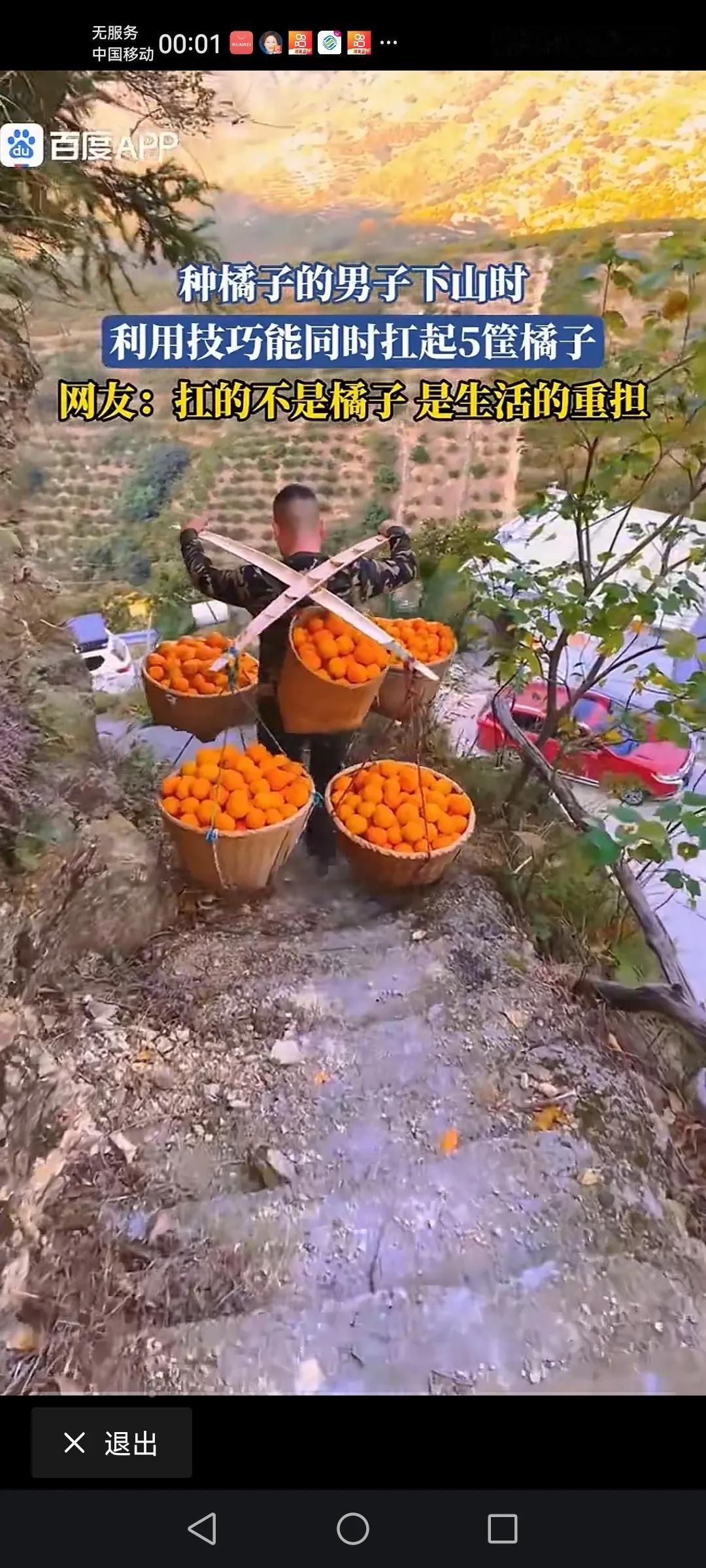 农村人的智慧真的是无穷无尽的啊！
这位大哥同时把五筐橘子背回家。
别看背上背的只