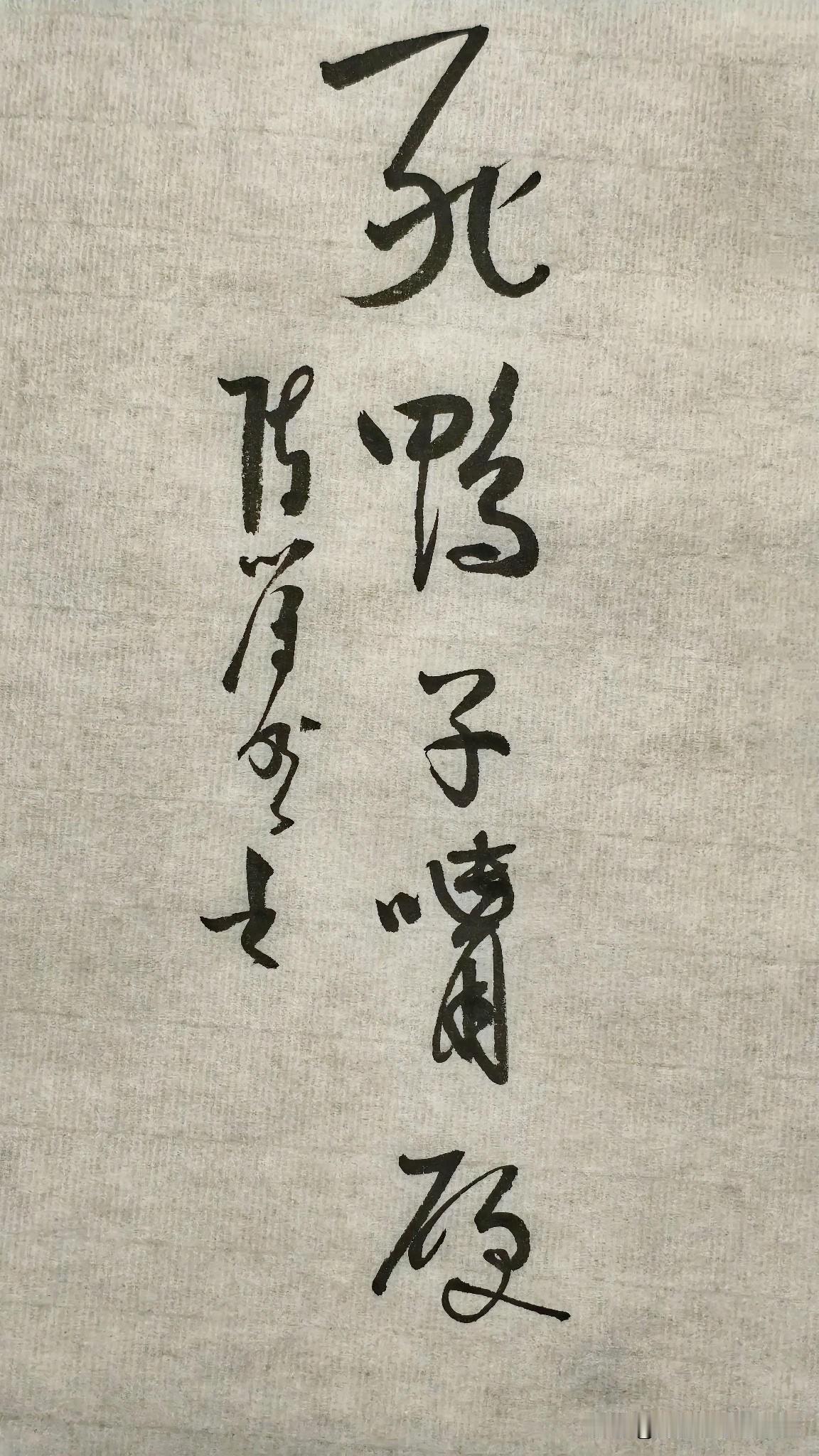 草书精品展示：死鸭子嘴硬