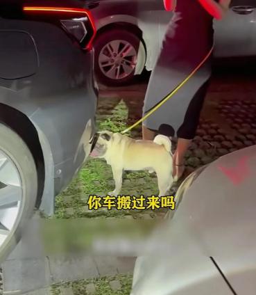 “太缺德了！”近日，广东惠州一名女子为了给自己车占车位，竟拉着一只狗站在车位上“