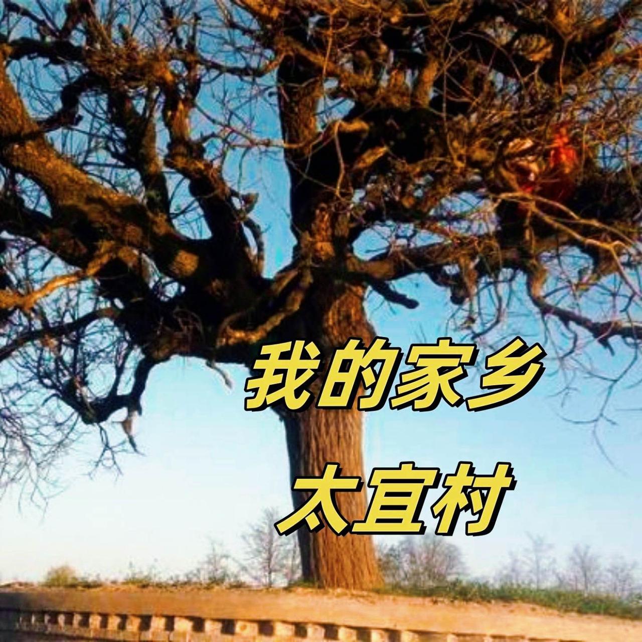 我的家乡 太宜村
富县最美的村
一草一木刻在我心中
万般思念永不忘记
我的家乡 