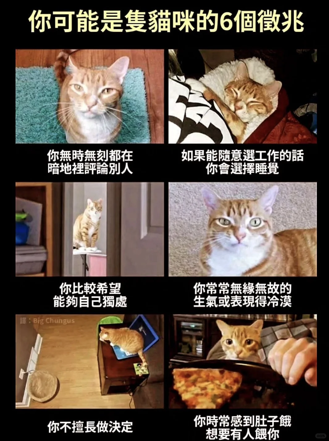 💥😆本周meme梗图（幽默版）
