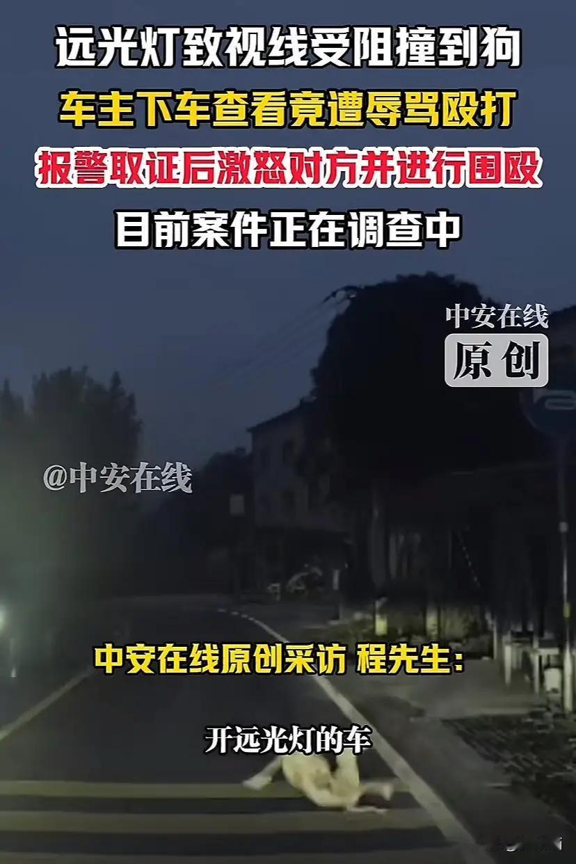 湖北宜昌，车主驾车在路上行驶因对面车辆开远光灯导致视线受阻撞到狗。车主下车查看竟
