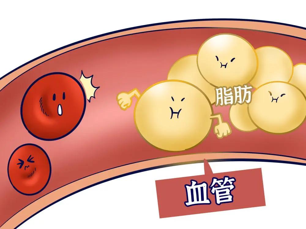 #健康真探社#【没想到雌激素原来还能调节血脂！】雌激素在女性身体的多个部位都有保