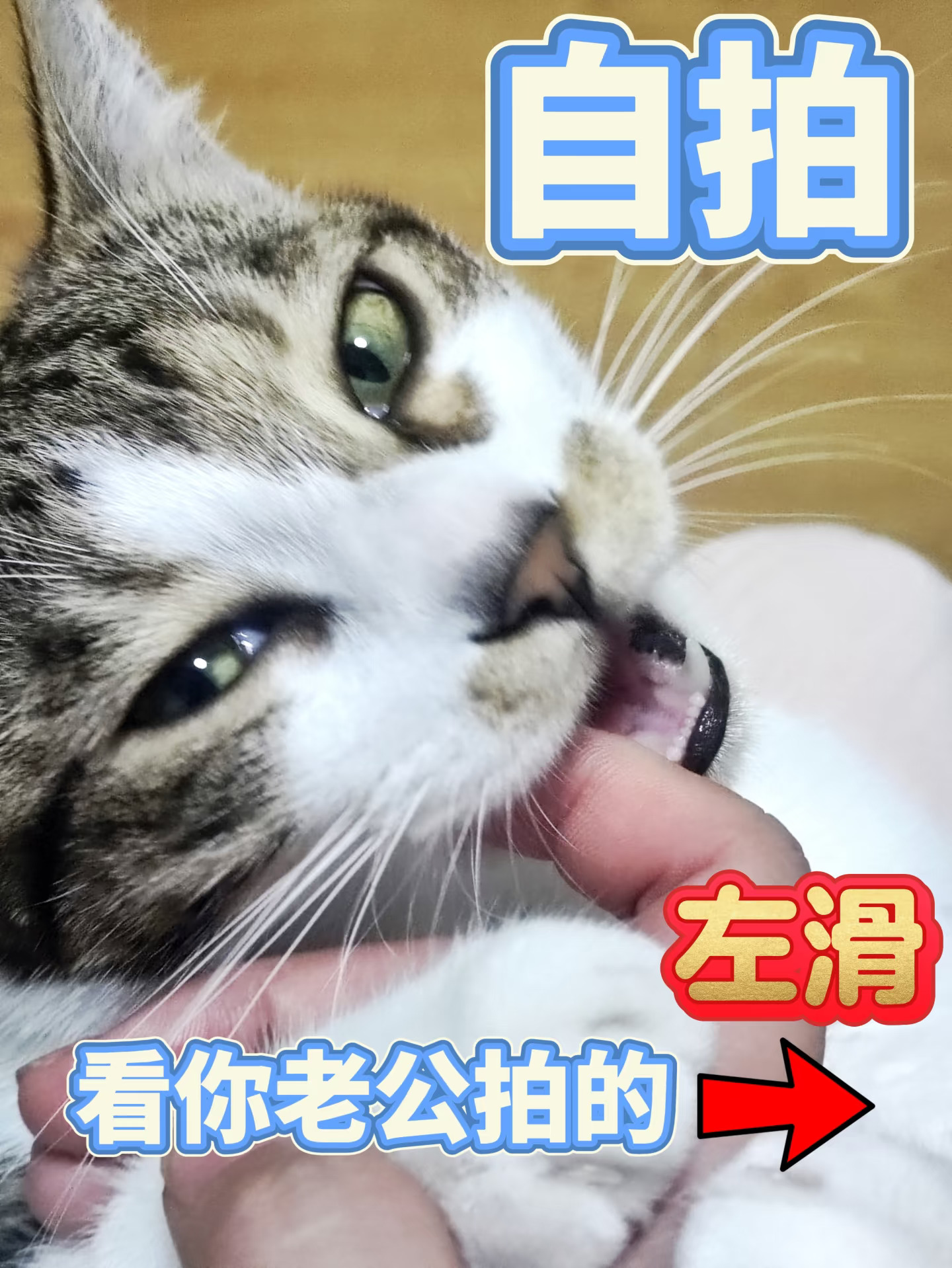 像不像你老公拍的你……