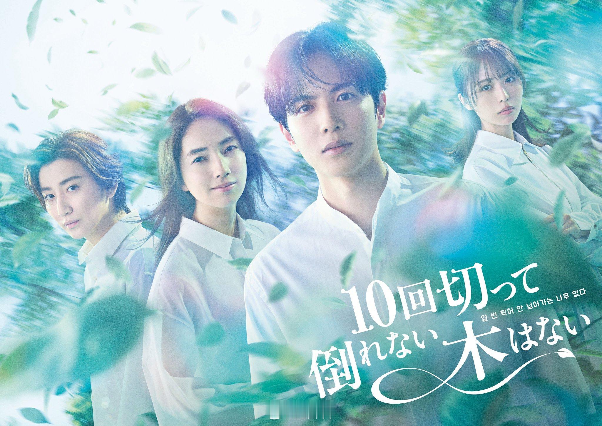 新剧开播：演员志尊淳（31）担任主演的NTV日10新剧『没有砍十次还不倒的树』（