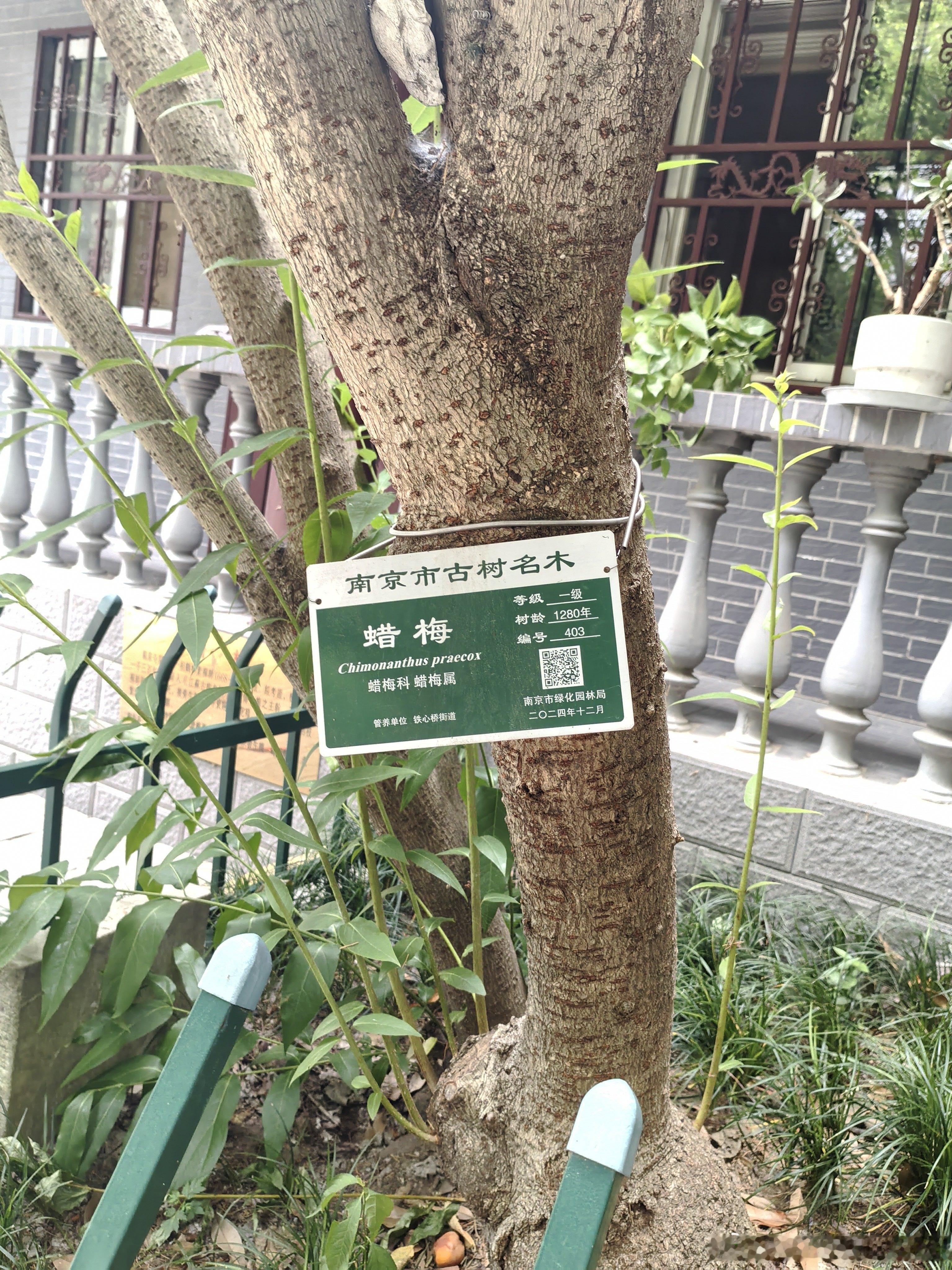 是不是每一个寺庙都有护寺神犬？闲着咩事，找个一个人迹罕至的小庙徒步走走。路遇一对