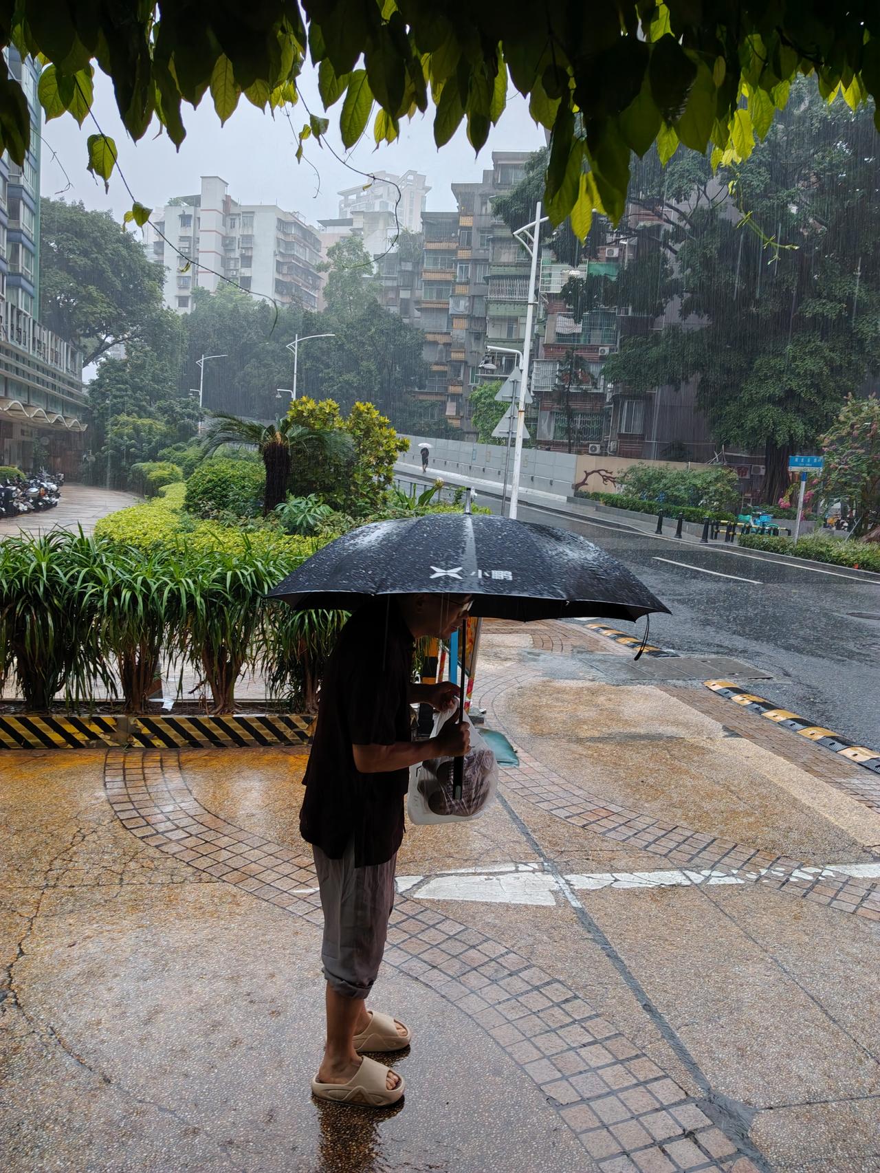 早上5点左右就醒来，听着外面滴滴答答地下着雨，心里嘀咕着，这下雨咋去上班呢？
