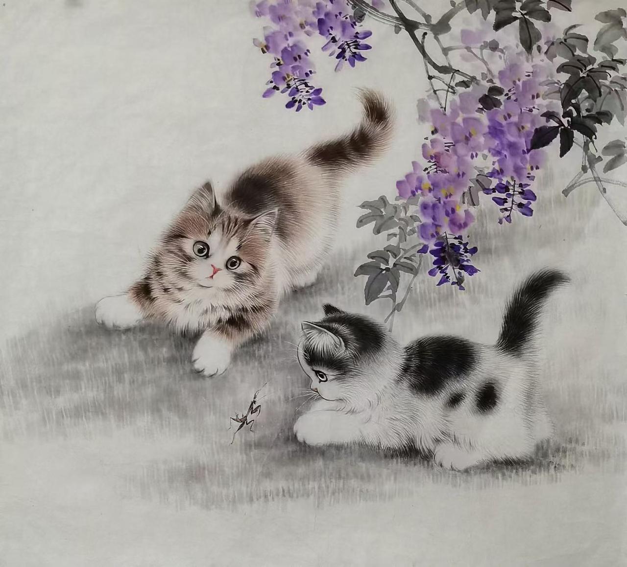秦文轩54X58