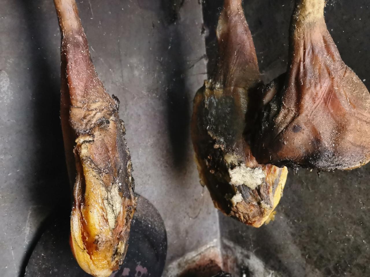 分享我这周有趣的事：在我国云南，一进入小寒节气，几乎家家户户都会杀年猪，这个时候