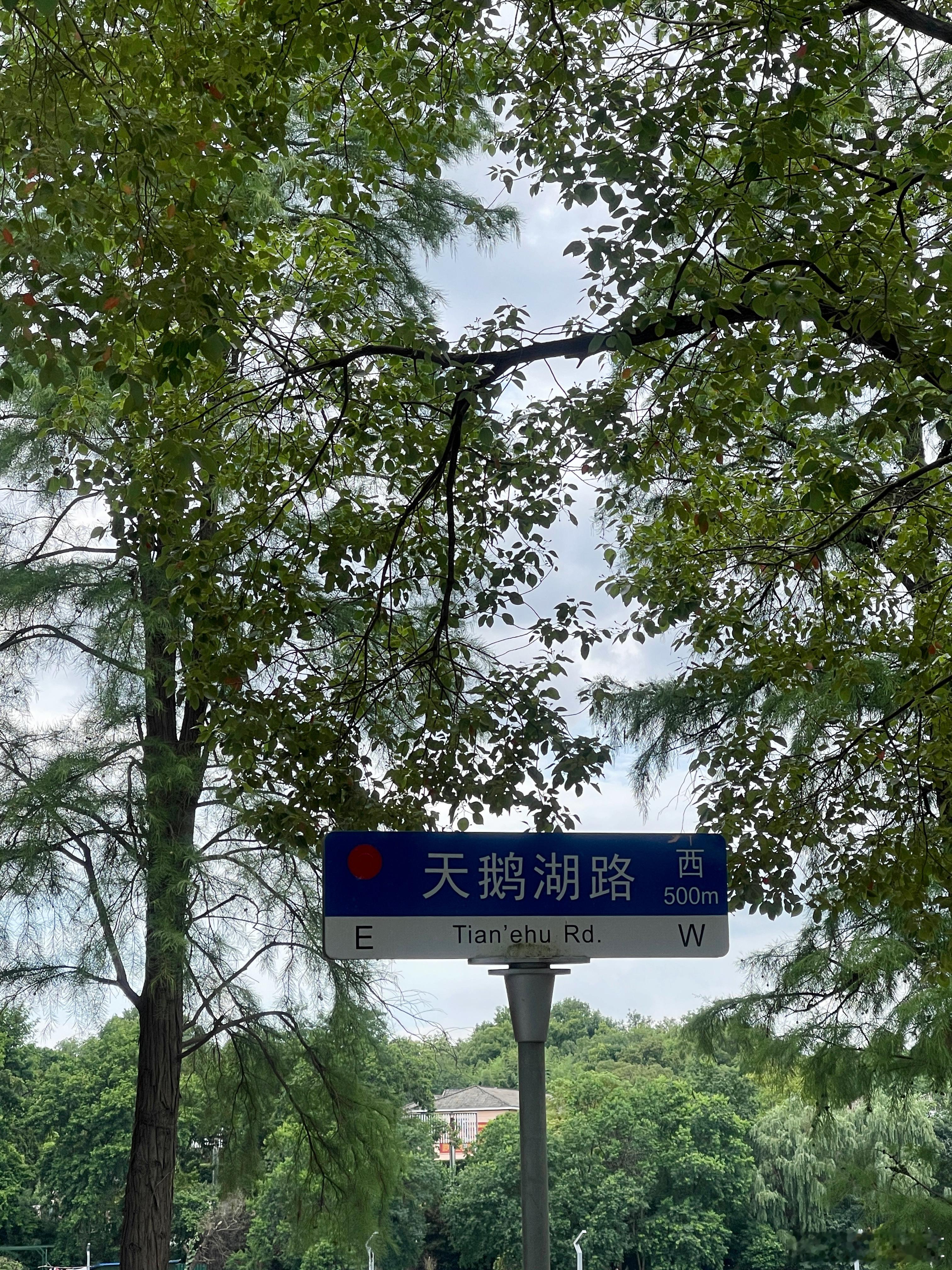 进入梁朝伟的电影《寂静的朋友》…… 