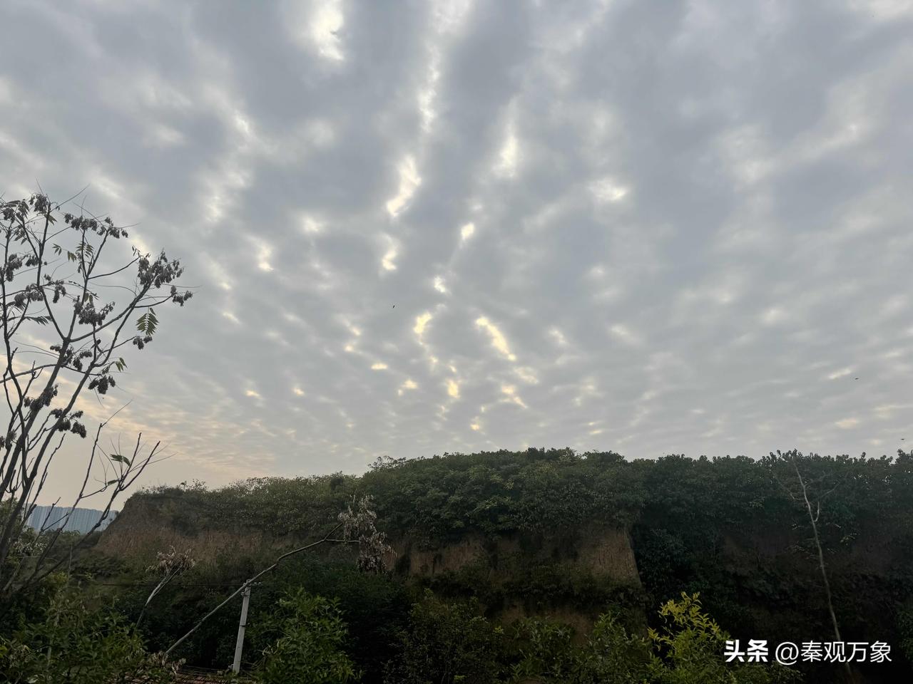 骑行 骑行自拍随拍