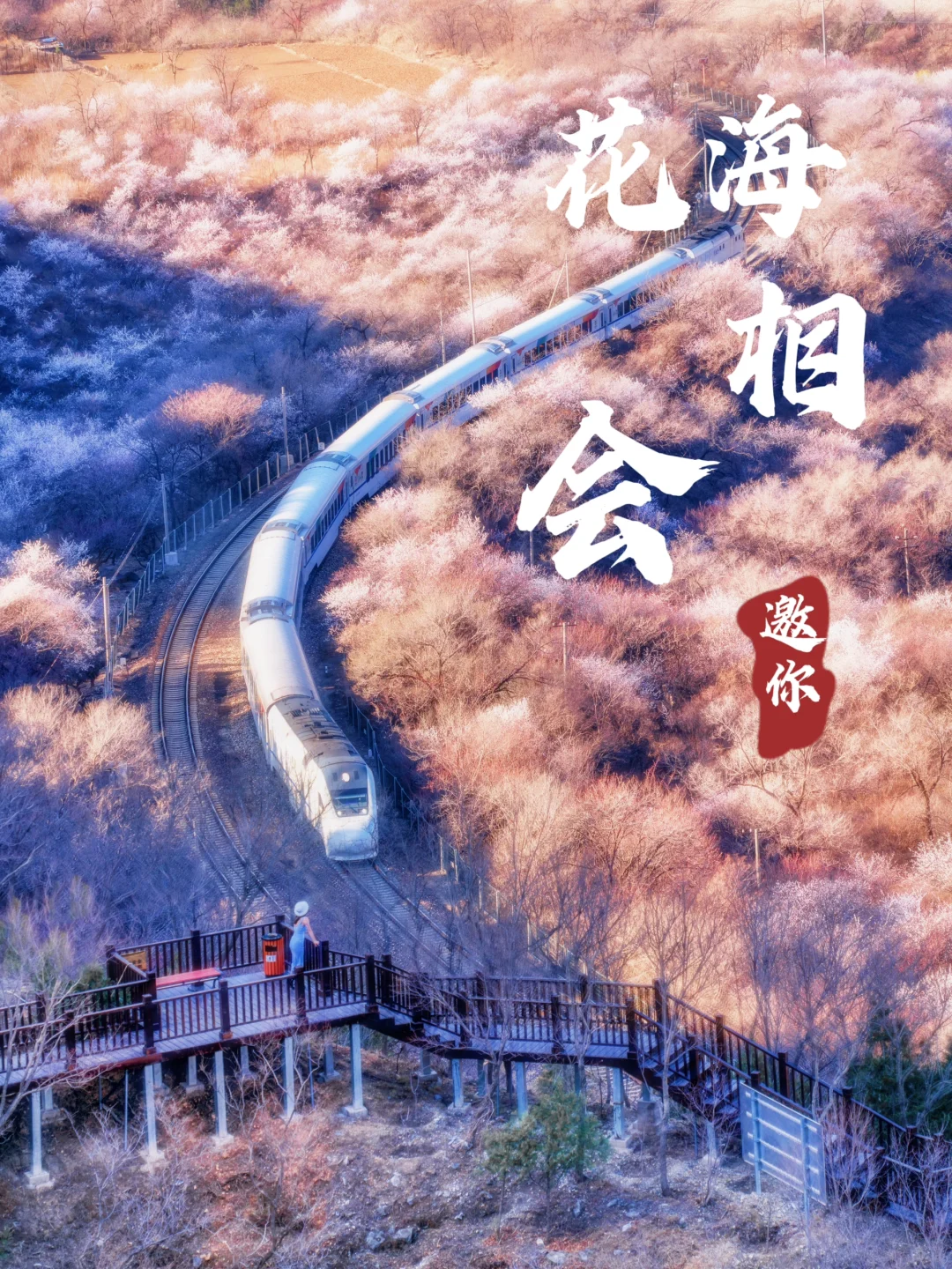 居庸关花海栈道免费开放 | 公交直达❗附路线