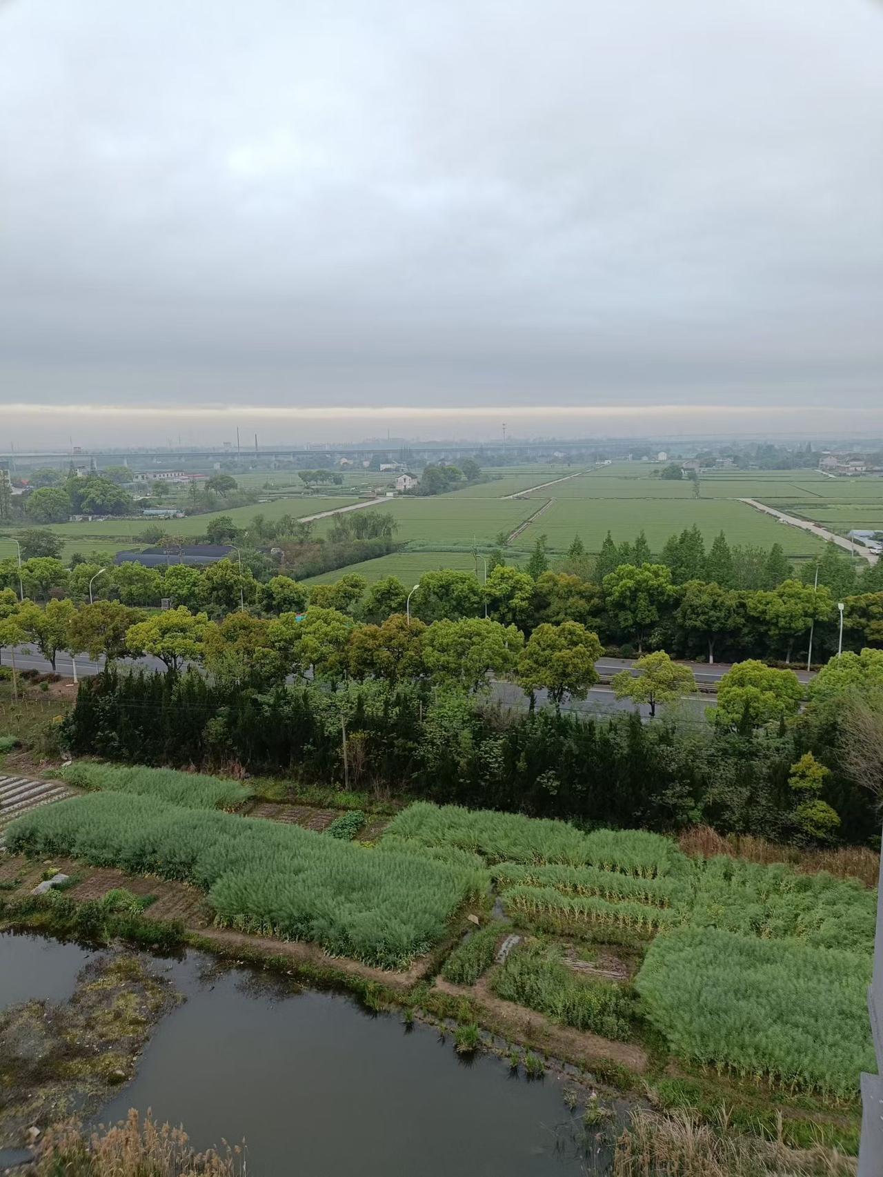 家乡的清晨是最美的，碧绿的农田，晨曦的薄雾，待隐还现的朝阳构成一副美丽的画卷。