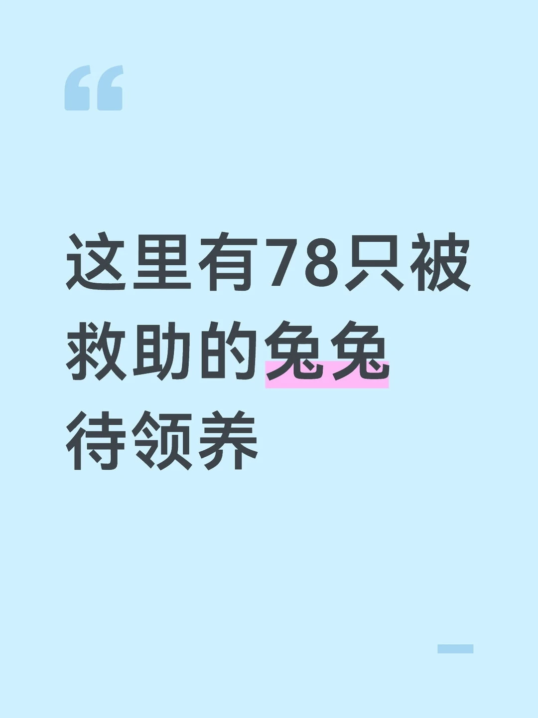 领养替代购买，ta的一生将因你而改变