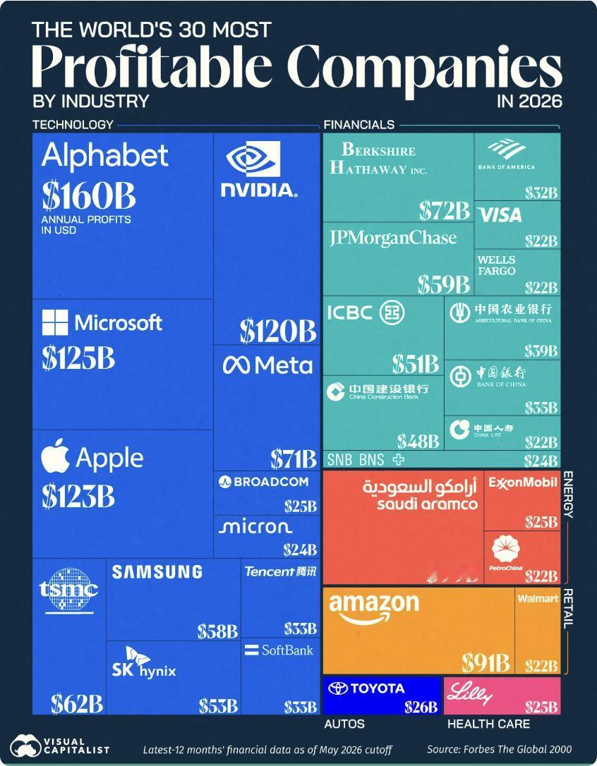 外媒：2026年全球最赚钱的30家企业排行

据福布斯全球2000强最新数据，A