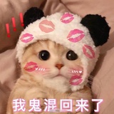 yaninne拾光