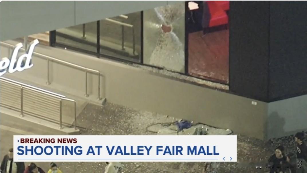 加州黑五购物吵架一言不合拔枪射击

    Westfield Valley F