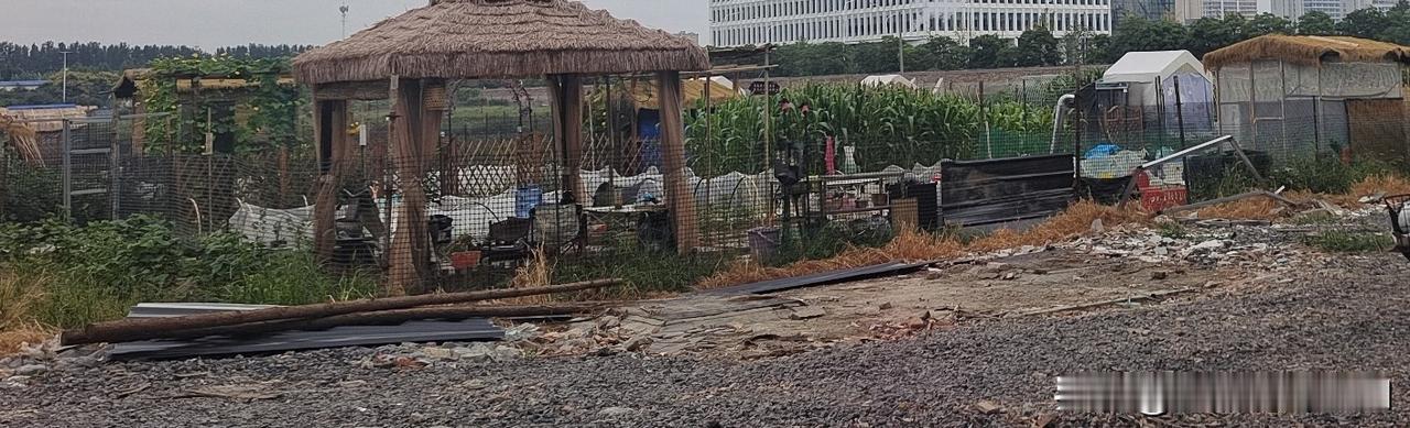 闹市边上共享菜园，寻一份田园乐趣
 
共享菜园闹市边
草亭垂柳伴良田
高楼隐隐立